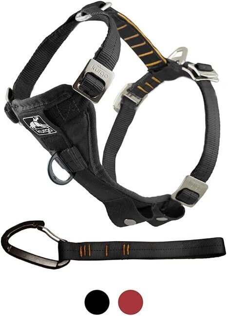 Tru-Fit Enhanced Strength Dog Harness, Crash Tested Car Safety Harness for Dogs
